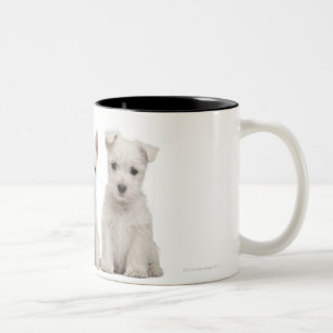 West Highland Terrier puppies (7 weeks old) Two-Tone Coffee Mug