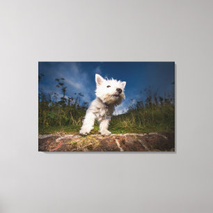 West Highland Terrier Puppy Canvas Print