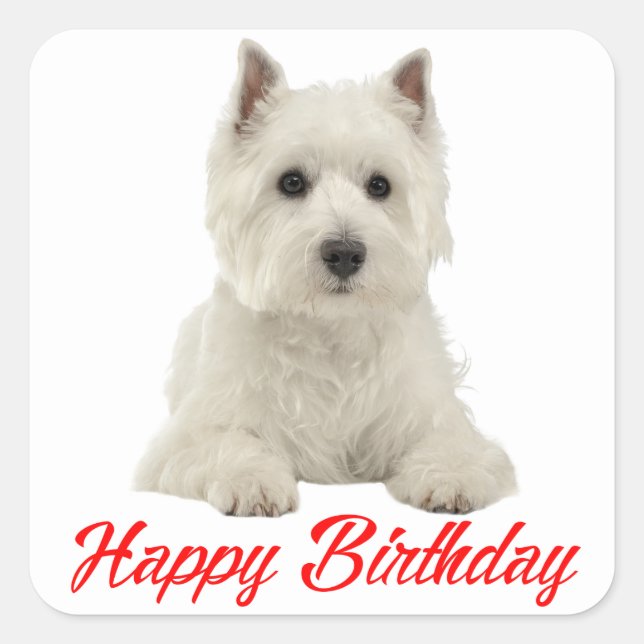 West Highland Terrier Puppy Dog Red Happy Birthday Square Sticker (Front)
