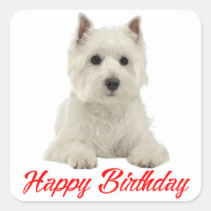 West Highland Terrier Puppy Dog Red Happy Birthday Square Sticker