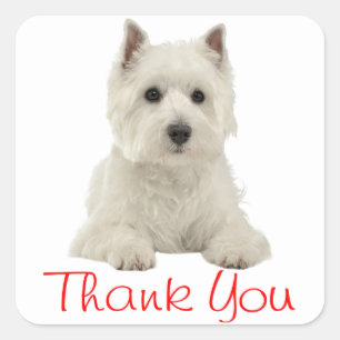 West Highland Terrier Puppy Dog Red Thank You Square Sticker