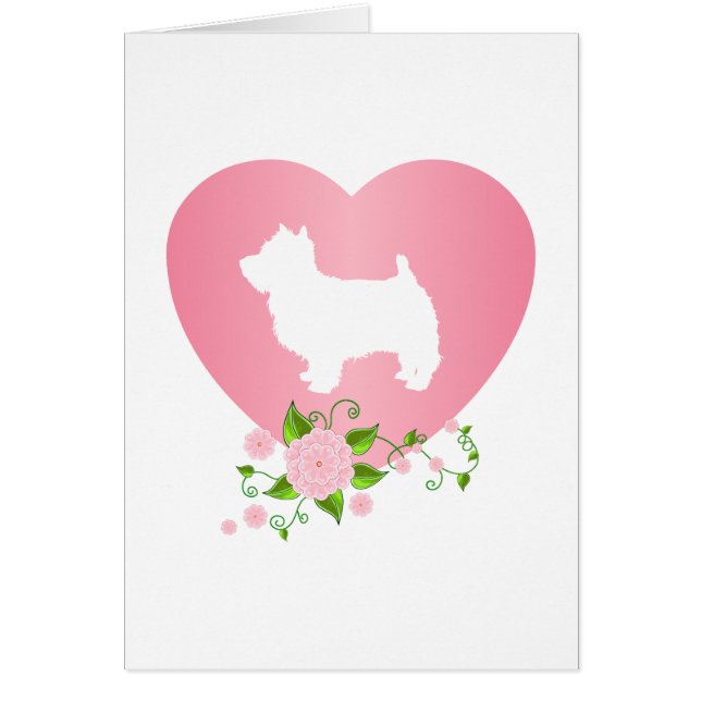 West Highland White Terrier (Front)