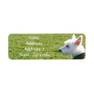 West Highland White Terrier Address Labels