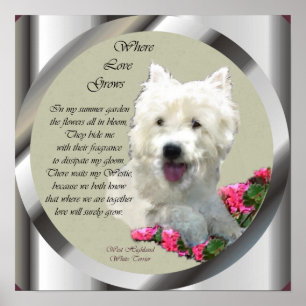 West Highland White Terrier Art Print