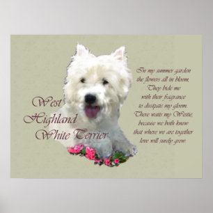 West Highland White Terrier Art Prints