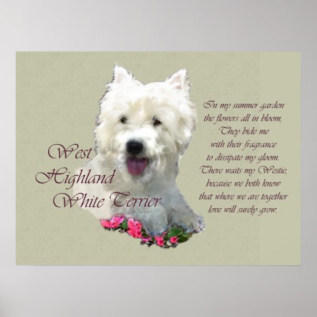 West Highland White Terrier Art Prints (Front)