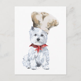 West Highland White Terrier Chef Postcard