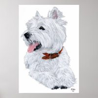 West Highland White Terrier Chef Poster