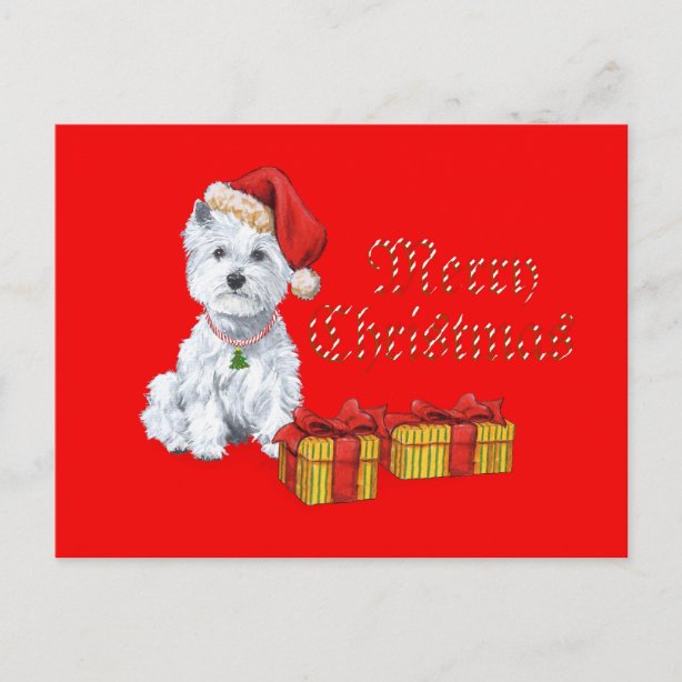 West Highland White Terrier Christmas Cards | Zazzle UK