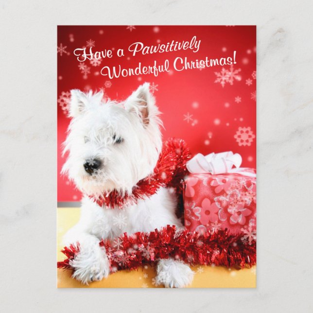 West Highland White Terrier Christmas Wishes Holiday Postcard (Front)