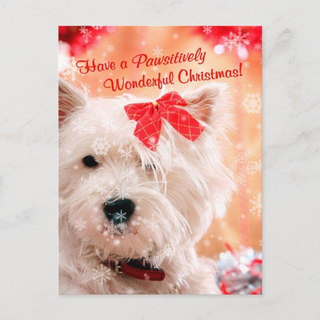 West Highland White Terrier Christmas Wishes Holiday Postcard (Front)