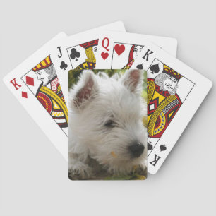West Highland White Terrier Dog Playing Cards