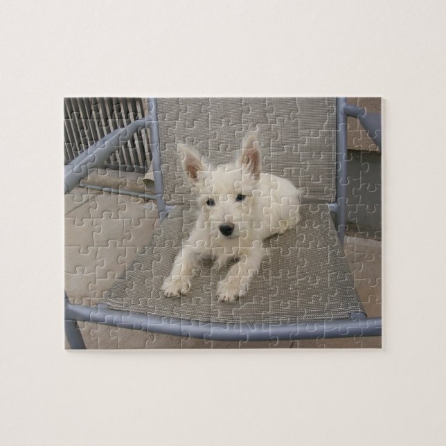 West Highland White Terrier Dog Puzzle (Horizontal)