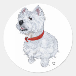 West Highland White Terrier - Looking Up Classic Round Sticker