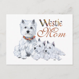 West Highland White Terrier Mum & Pups Postcard