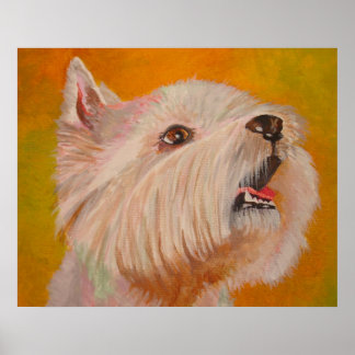 West Highland White Terrier Portrait Poster