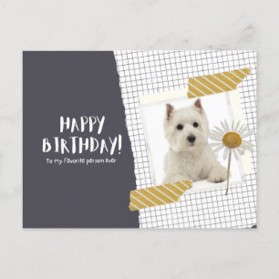 West Highland White Terrier Postcard