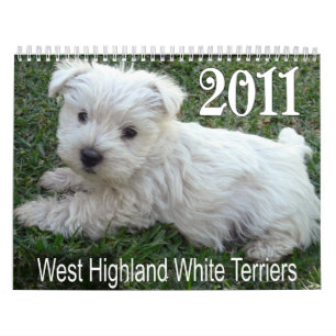 West Highland White Terrier Puppies Calendar 2011