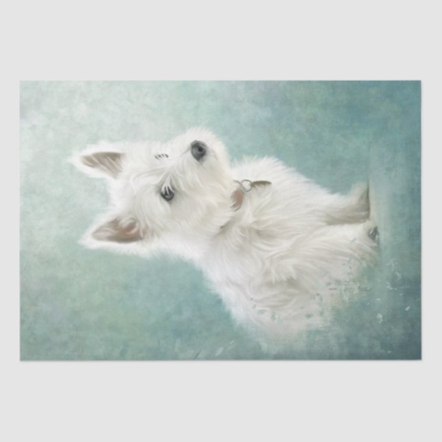 West Highland White Terrier Tissue Paper (Front)