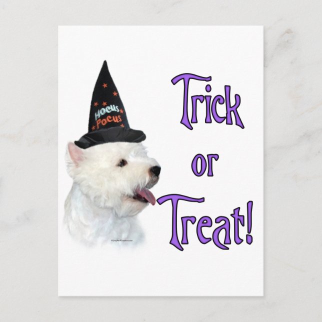 West Highland White Terrier Trick Postcard (Front)