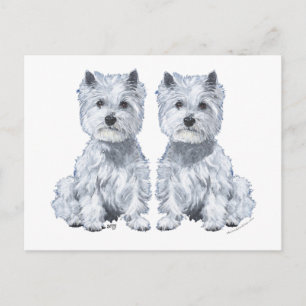 West Highland White Terrier Twins! Postcard