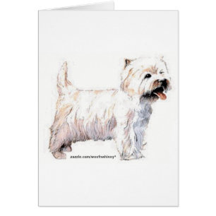 West Highland White Terriers