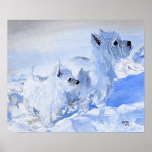 West Highland White Terriers in the Snow Poster
