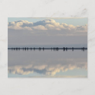 West Kirby Marina Postcard