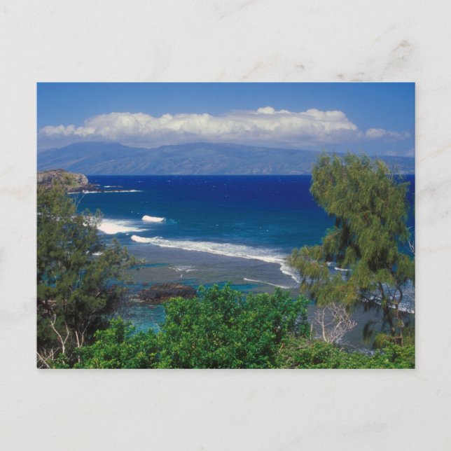 West Maui Ocean View Postcard (Front)