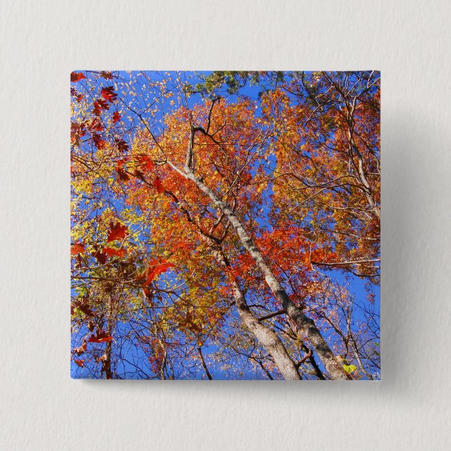 West Mt. Autumn Hot Springs National Park Gifts 15 Cm Square Badge (Front)