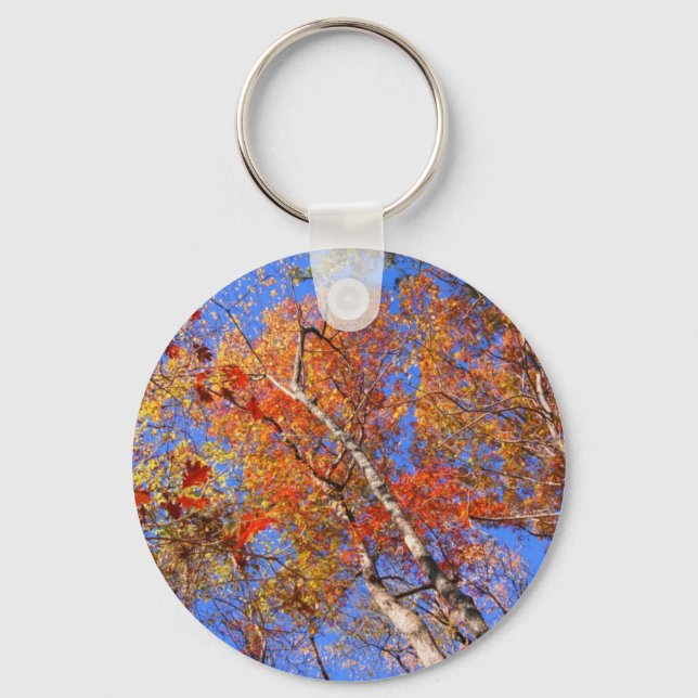 West Mt. Autumn Hot Springs National Park Gifts Key Ring (Front)