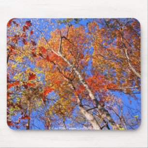 West Mt. Autumn Hot Springs National Park Gifts Mouse Mat
