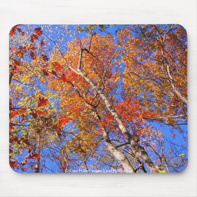 West Mt. Autumn Hot Springs National Park Gifts Mouse Mat (Front)