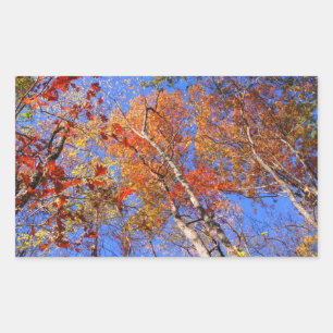 West Mt. Autumn Hot Springs National Park Gifts Rectangular Sticker
