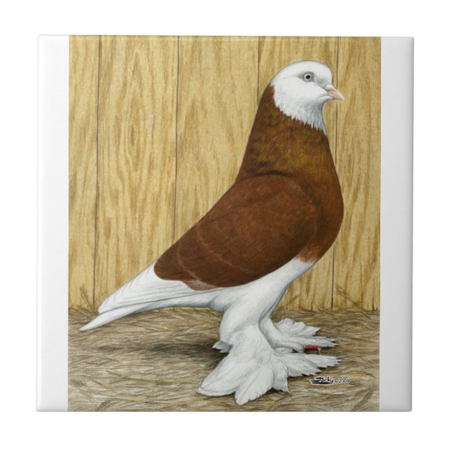 West of England Tumbler Red Baldhead Tile (Front)