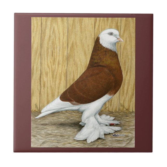 West of England Tumbler Red Baldhead Tile (Front)