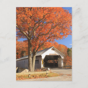 West River Covered Bridge and Oak Vermont Postcard