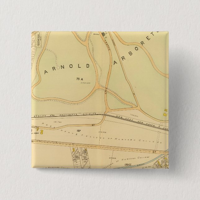 West Roxbury, Massachusetts 4 15 Cm Square Badge (Front)