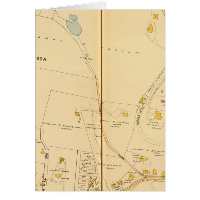 West Roxbury, Massachusetts 6 (Front)