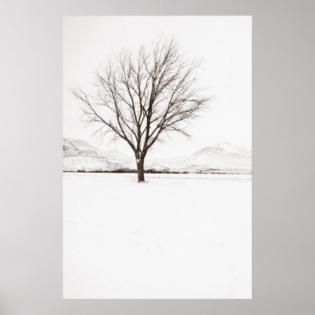 West Texas BLizzard Poster (Front)