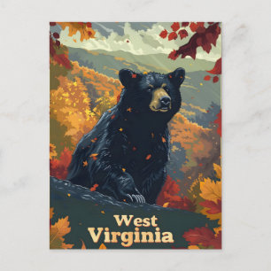 West Virginia Black Bear Postcard