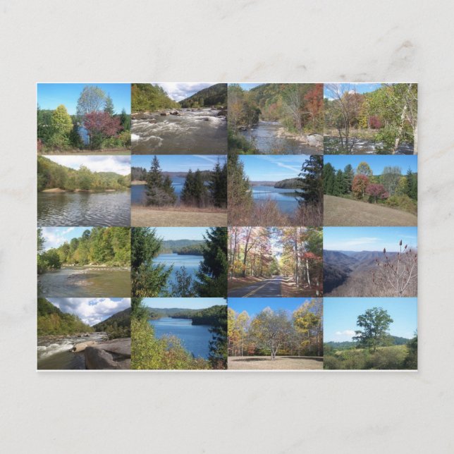 West Virginia Collage Postcard (Front)