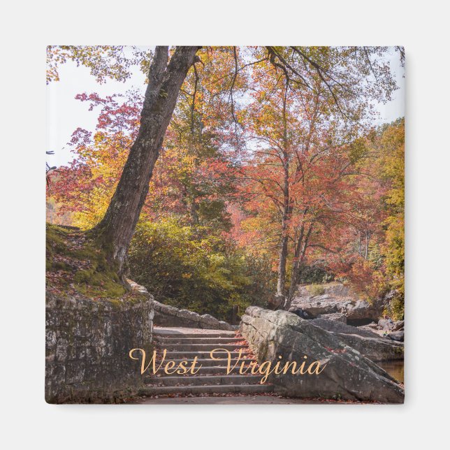 West Virginia foliage fridge Magnet (Front)