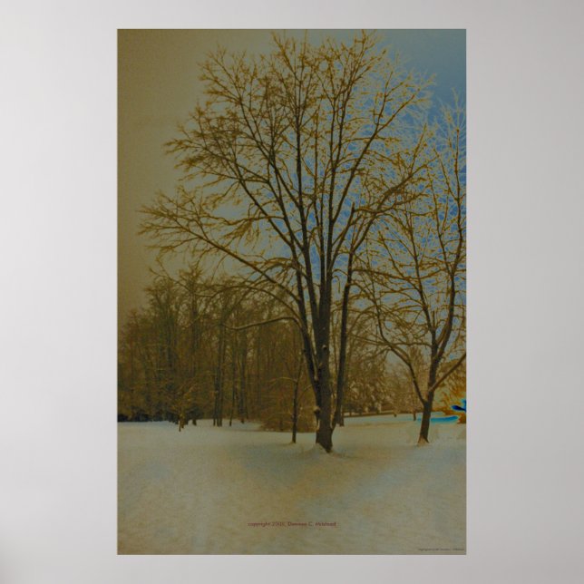 West Virginia in Snow Poster (Front)