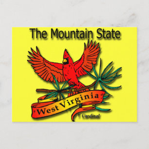 West Virginia Mountain State Cardinal Postcard