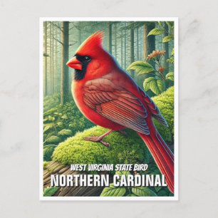 West Virginia State Bird Northern Cardinal Postcard