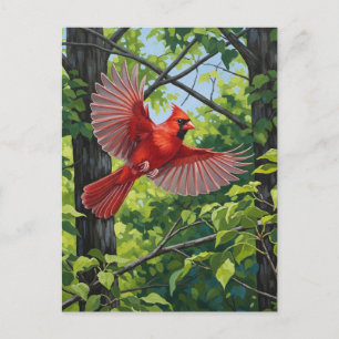 West Virginia State Bird Northern Cardinal Postcard