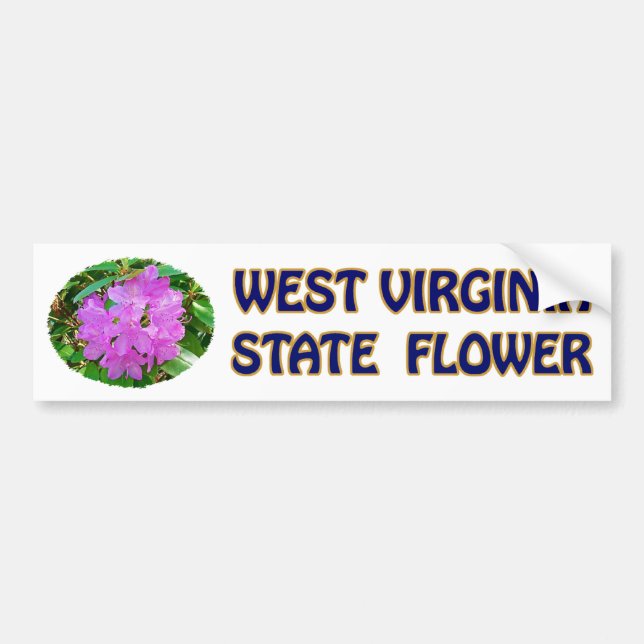 West Virginia State Flower Bumper Sticker (Front)