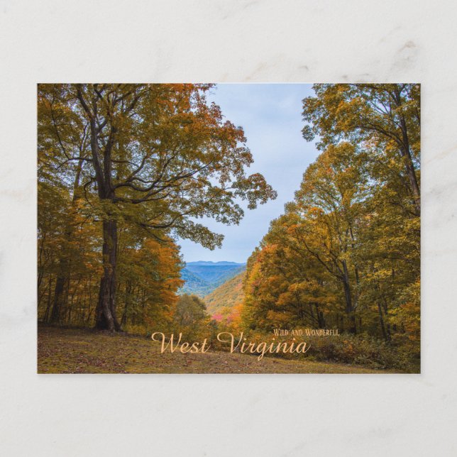 West Virginia Wild and Wonderful Fall Foliage Postcard (Front)