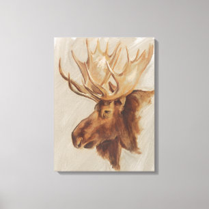 Western American Animal Study   Moose Portrait Canvas Print